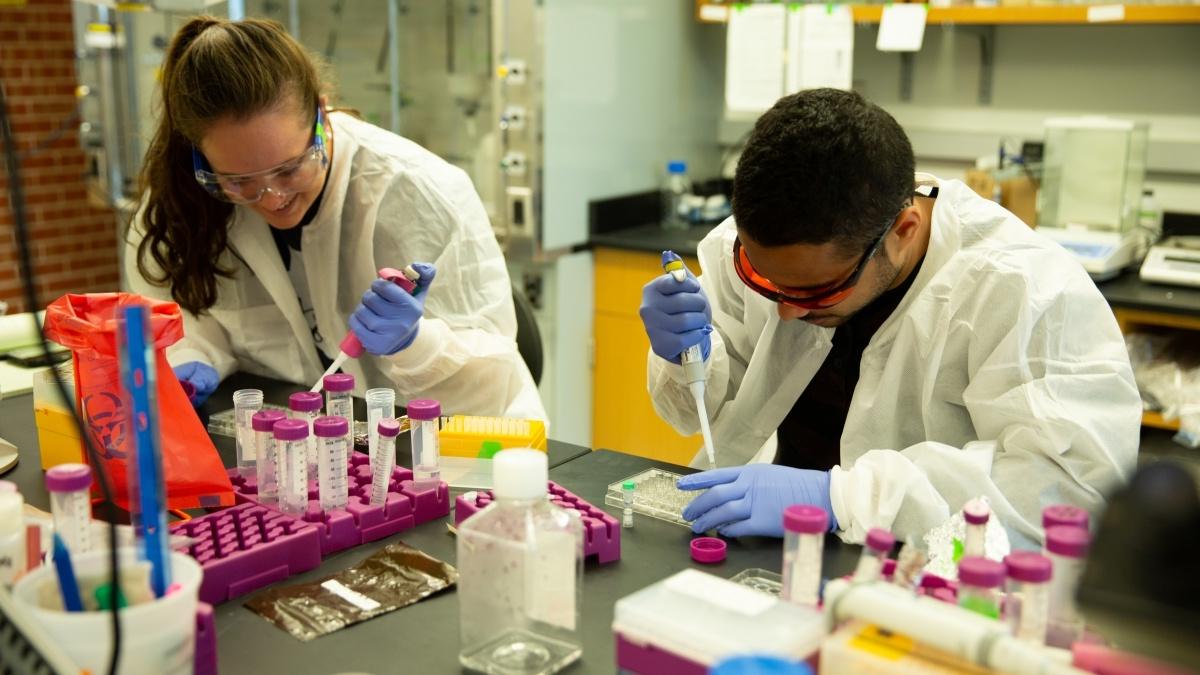 Two students working in a lab mixing fluids